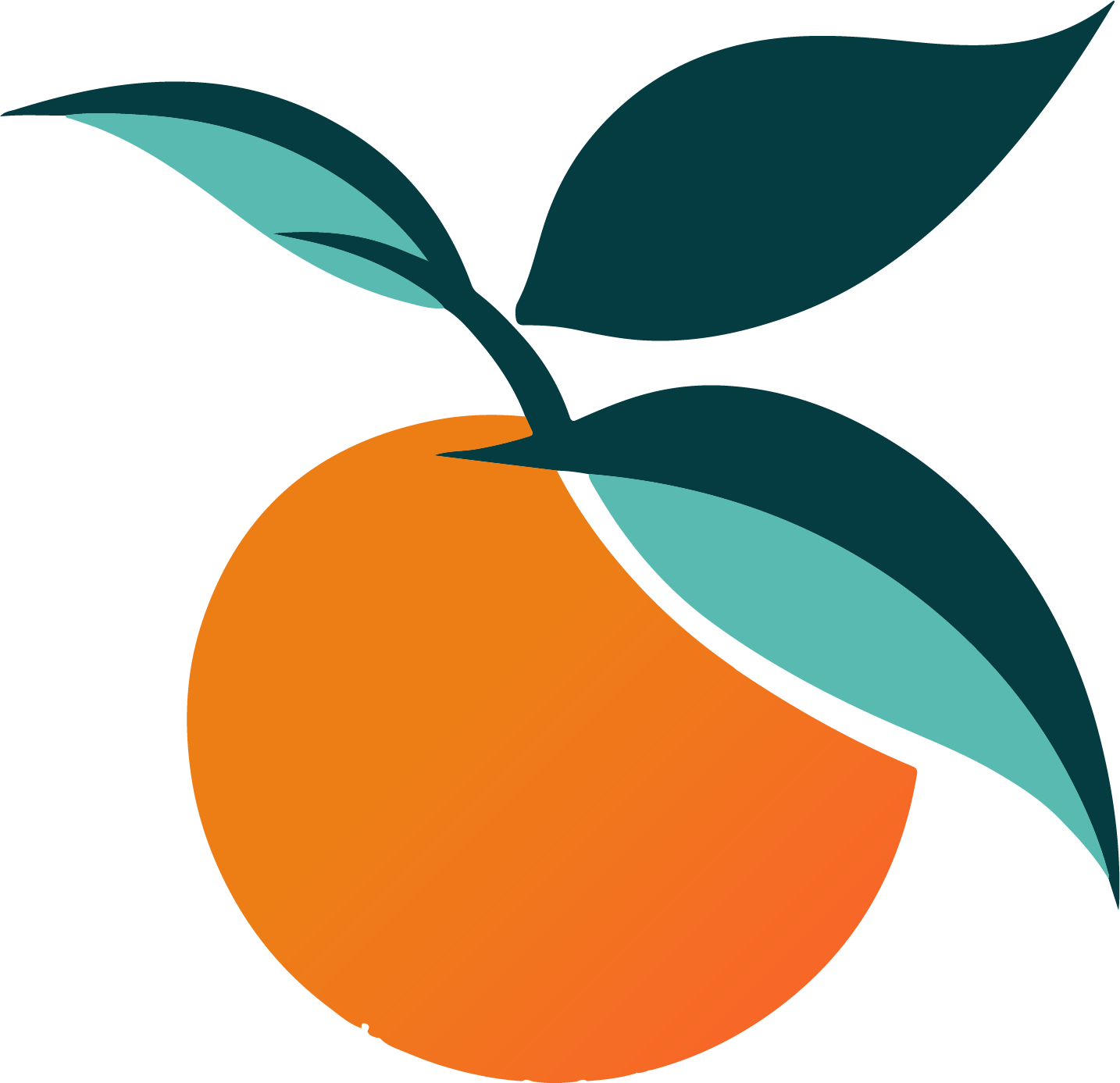 Clementine Communications